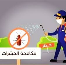 مكافحة الحشرات والقوارض-شركة مكافحة حشرات الكويت 94040217 | ملوك التسويق للدعاية والاعلان
